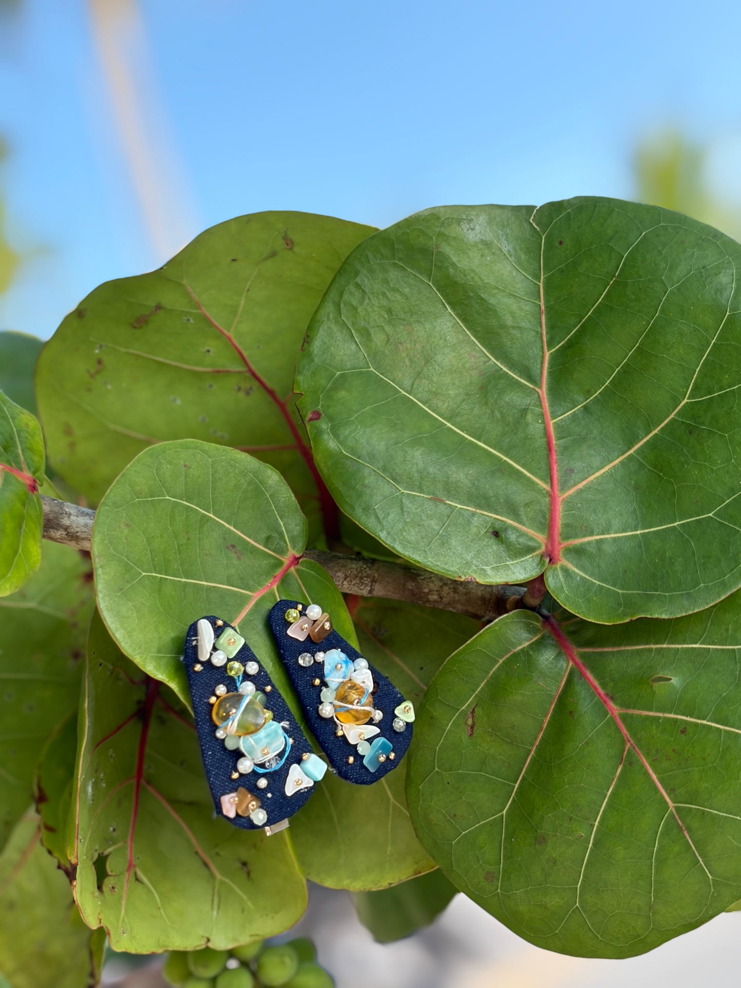 "Jardin de Coral: Hairclips Set"
